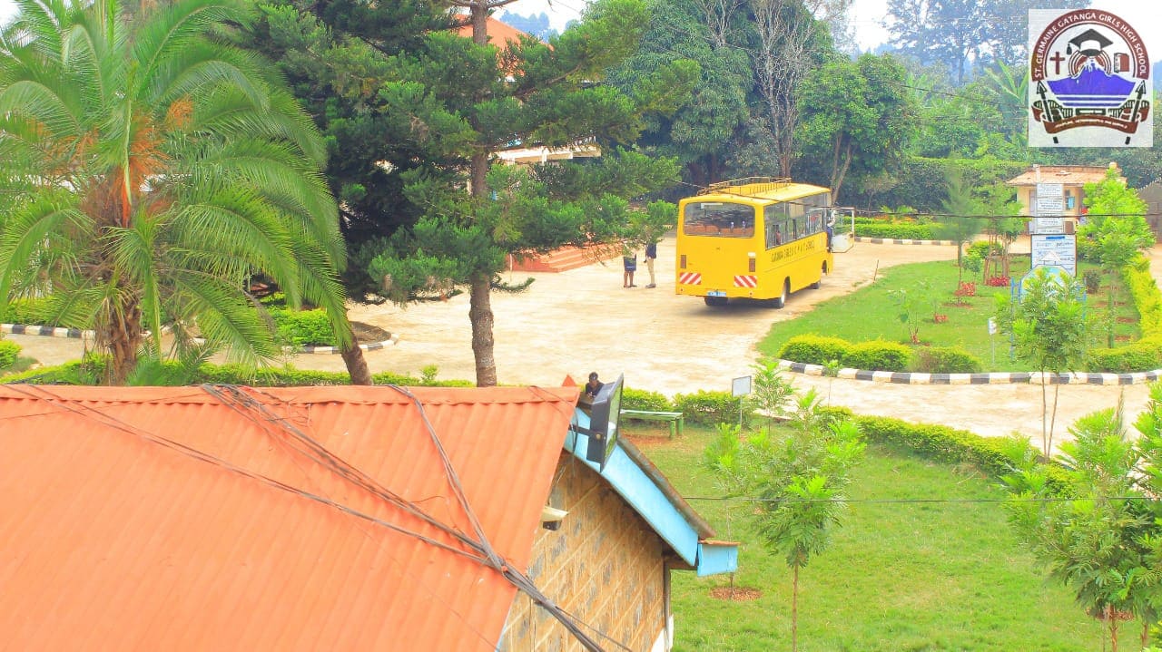 Another school ground view